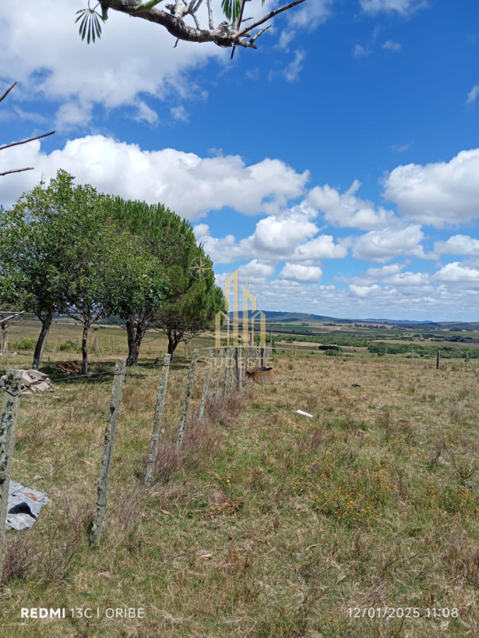 Campo Ref.97 - Chacra de 28 hectáreas con Casa en Paso Dutra - Maldonado
