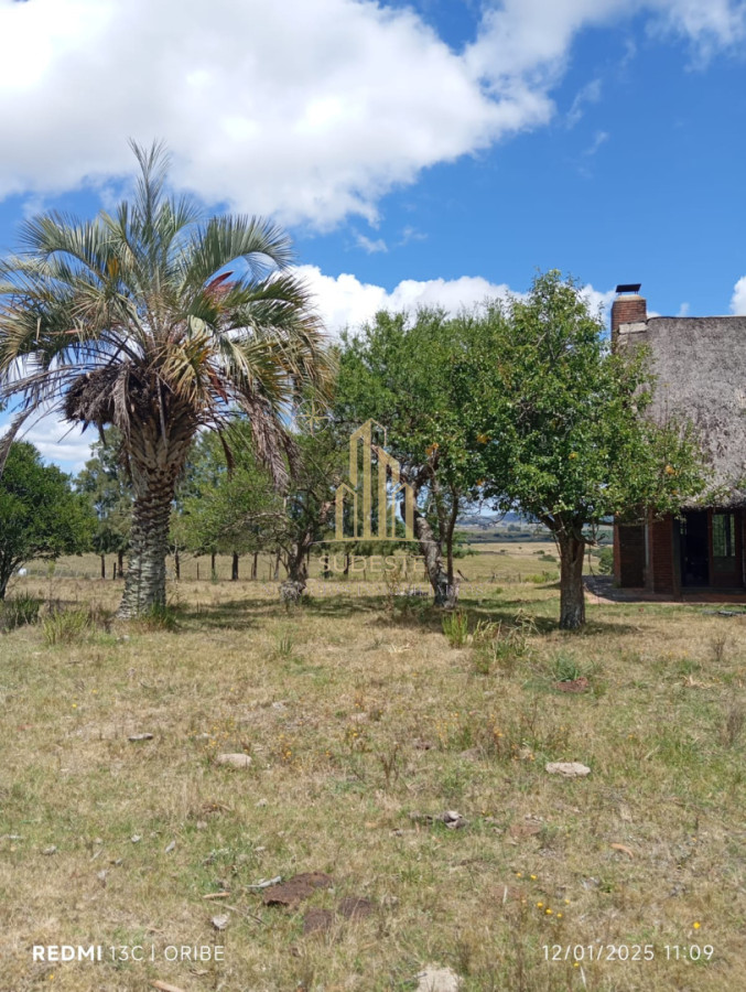 Campo Ref.97 - Chacra de 28 hectáreas con Casa en Paso Dutra - Maldonado