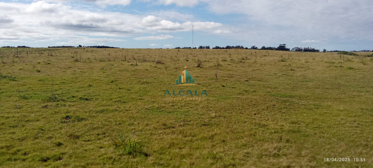 Campo Ref.18 - Campo de 43,5 hectáreas sobre Ruta 10, próximo a Las Garzas