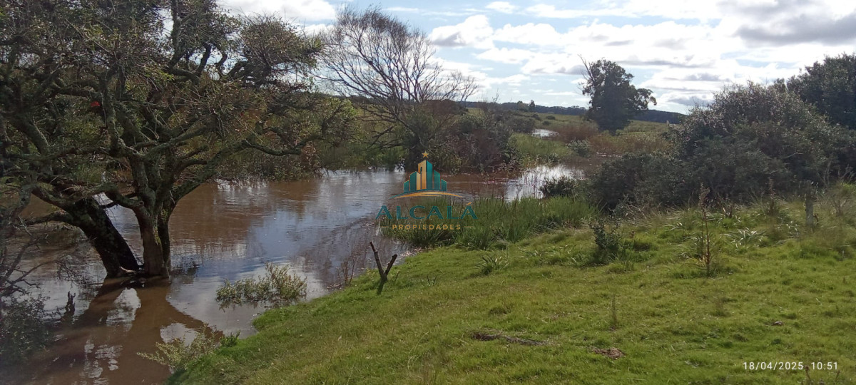 Campo Ref.18 - Campo de 43,5 hectáreas sobre Ruta 10, próximo a Las Garzas