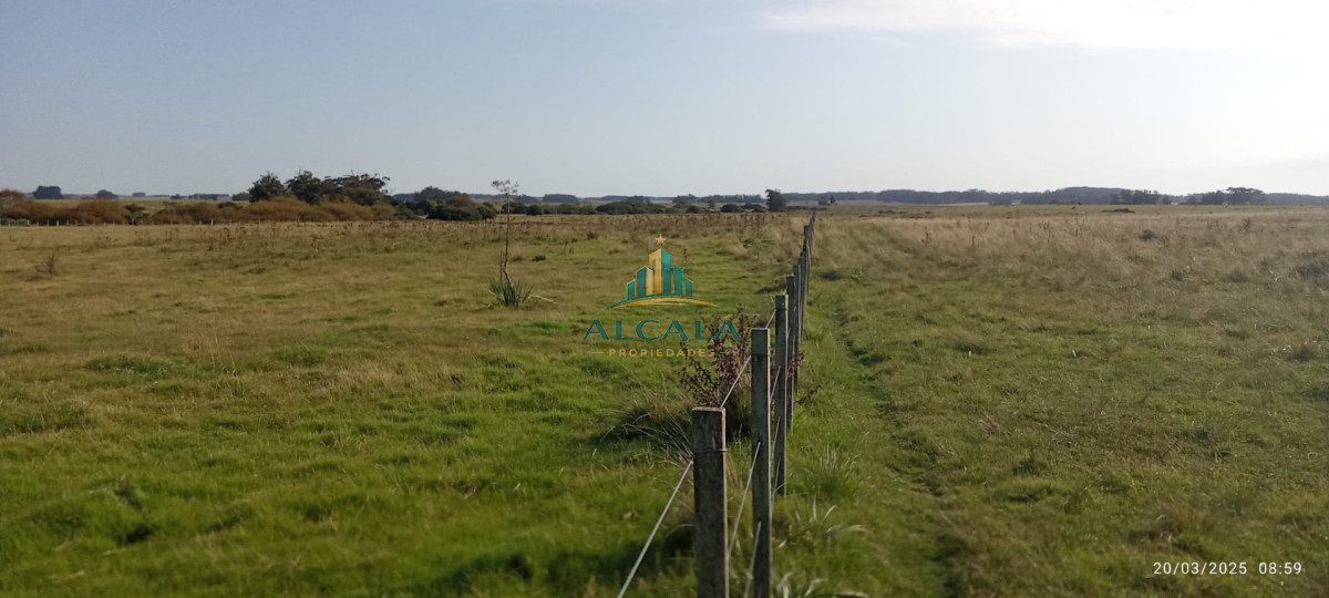 Campo Ref.18 - Campo de 43,5 hectáreas sobre Ruta 10, próximo a Las Garzas