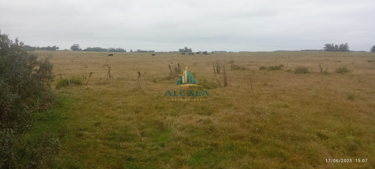 Campo Ref.18 - Campo de 43,5 hectáreas sobre Ruta 10, próximo a Las Garzas
