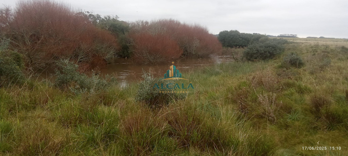 Campo Ref.18 - Campo de 43,5 hectáreas sobre Ruta 10, próximo a Las Garzas