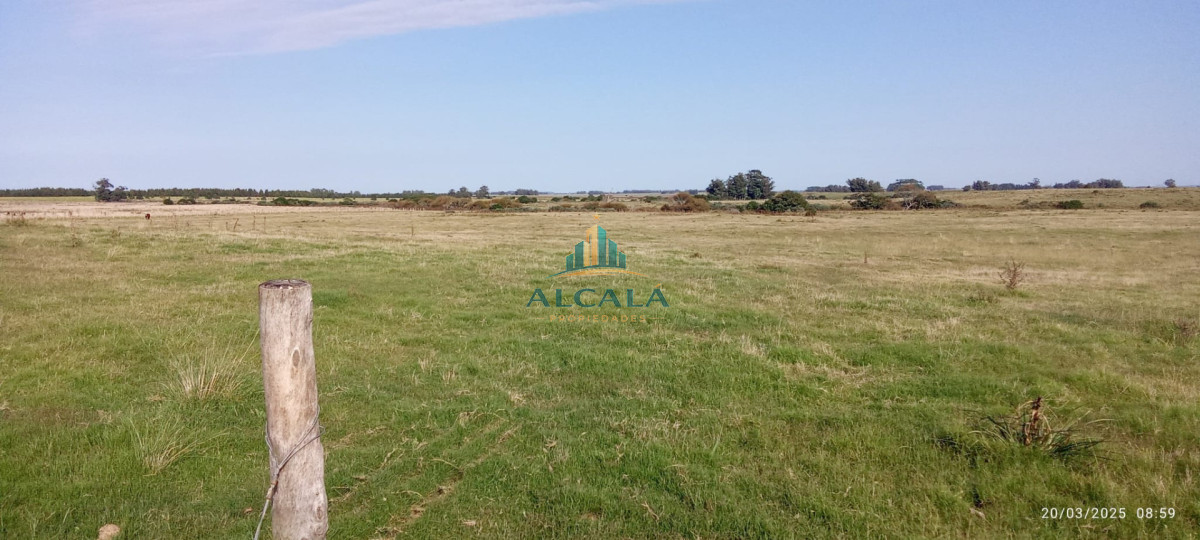 Campo Ref.18 - Campo de 43,5 hectáreas sobre Ruta 10, próximo a Las Garzas