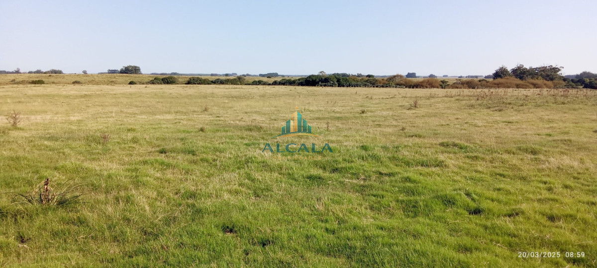 Campo Ref.18 - Campo de 43,5 hectáreas sobre Ruta 10, próximo a Las Garzas