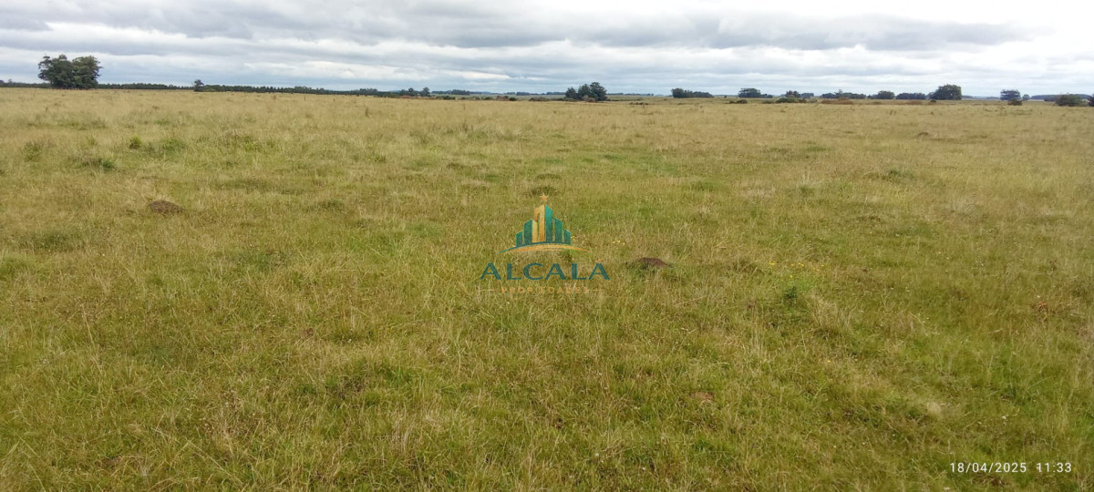Campo Ref.18 - Campo de 43,5 hectáreas sobre Ruta 10, próximo a Las Garzas