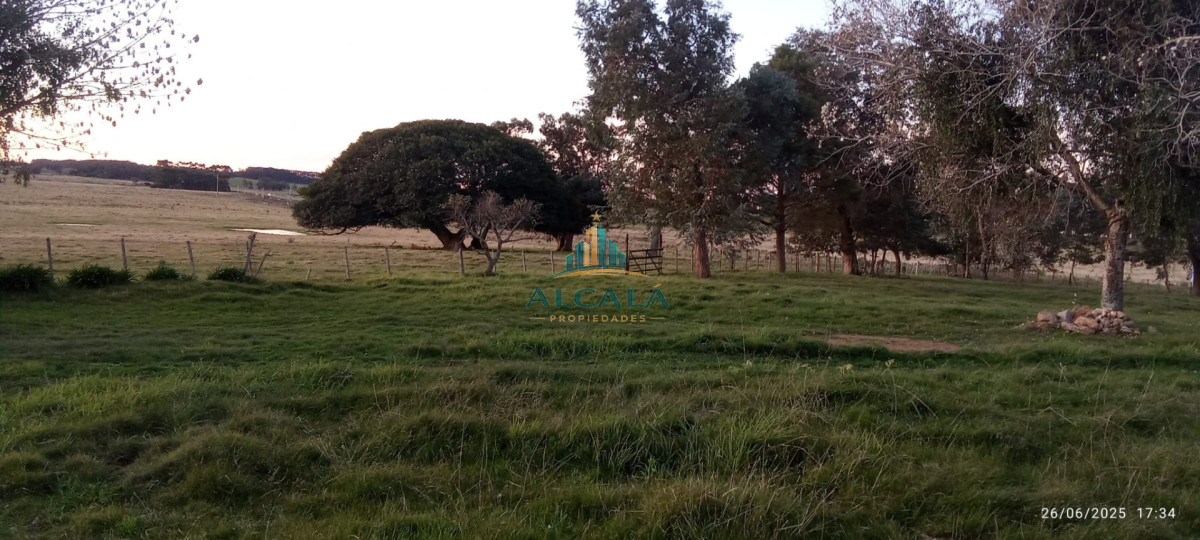 Campo Ref.18 - Campo de 43,5 hectáreas sobre Ruta 10, próximo a Las Garzas
