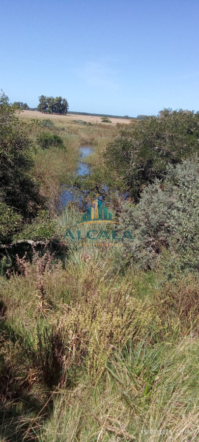 Campo Ref.18 - Campo de 43,5 hectáreas sobre Ruta 10, próximo a Las Garzas