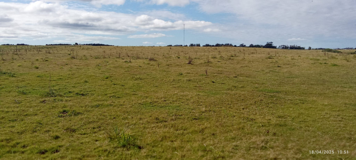 Campo de 43,5 hectáreas sobre Ruta 10, próximo a Las Garzas