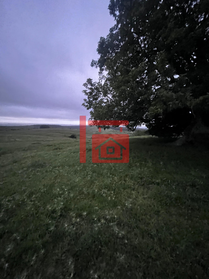 Chacra ID.26 - Campo en Marmaraja!! hay que verlo !!