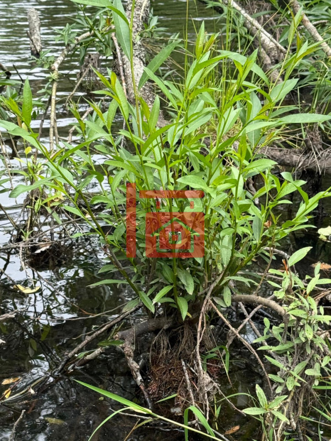 Chacra ID.32 - Insuperable!!!  chacra 33 hás con  costa al arroyo Aiguá