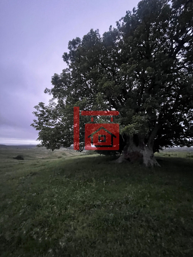 Chacra ID.26 - Campo en Marmaraja!! hay que verlo !!