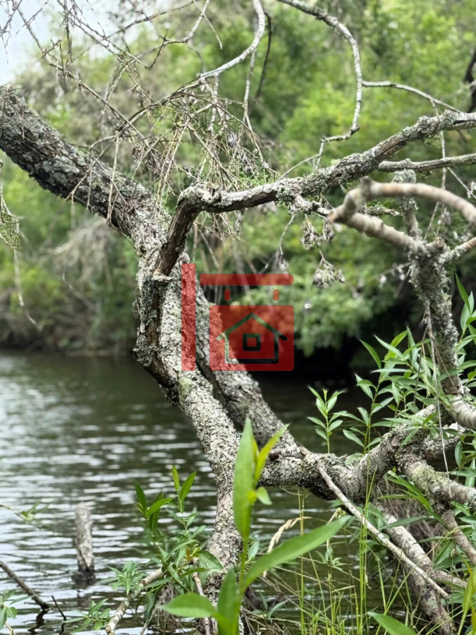 Chacra ID.32 - Insuperable!!!  chacra 33 hás con  costa al arroyo Aiguá