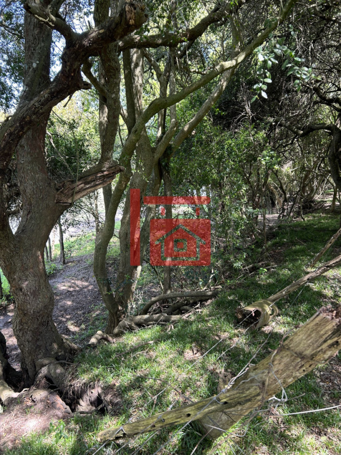 Chacra ID.30 - La Escondida, Chacra en Minas, Lavalleja, a orillas del Santa Lucía