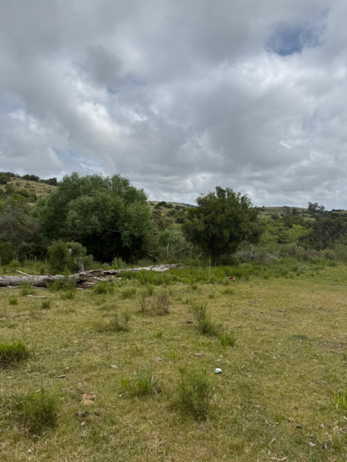 Insuperable!!!  chacra 33 hás con  costa al arroyo Aiguá