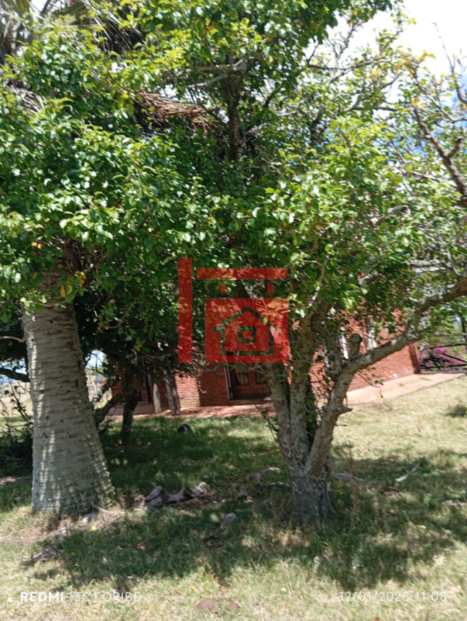 Campo Ref.2 - Chacra de 28 hectáreas Paso Dutra