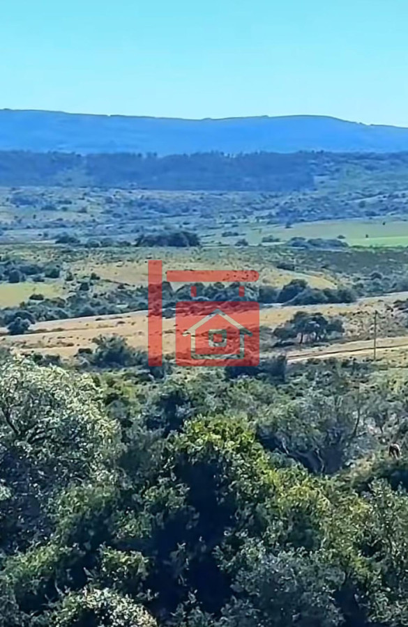 Campo Ref.18 - Campo 52 Hectáreas en Garzón