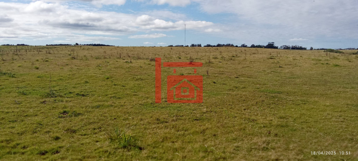 Campo Ref.1230 - Oportunidad de campo en Garzon 