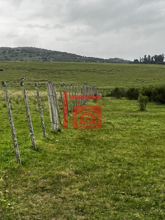 Campo Ref.12 - Campo 110 hectáreas en Aiguá