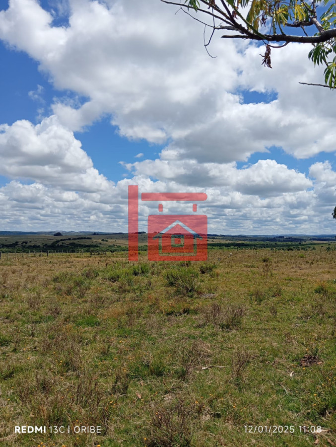 Campo Ref.2 - Chacra de 28 hectáreas Paso Dutra