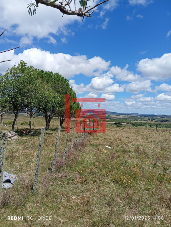 Campo Ref.2 - Chacra de 28 hectáreas Paso Dutra