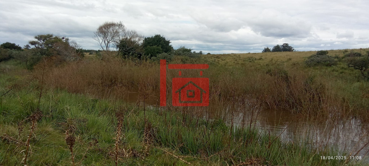 Campo Ref.1230 - Oportunidad de campo en Garzon 