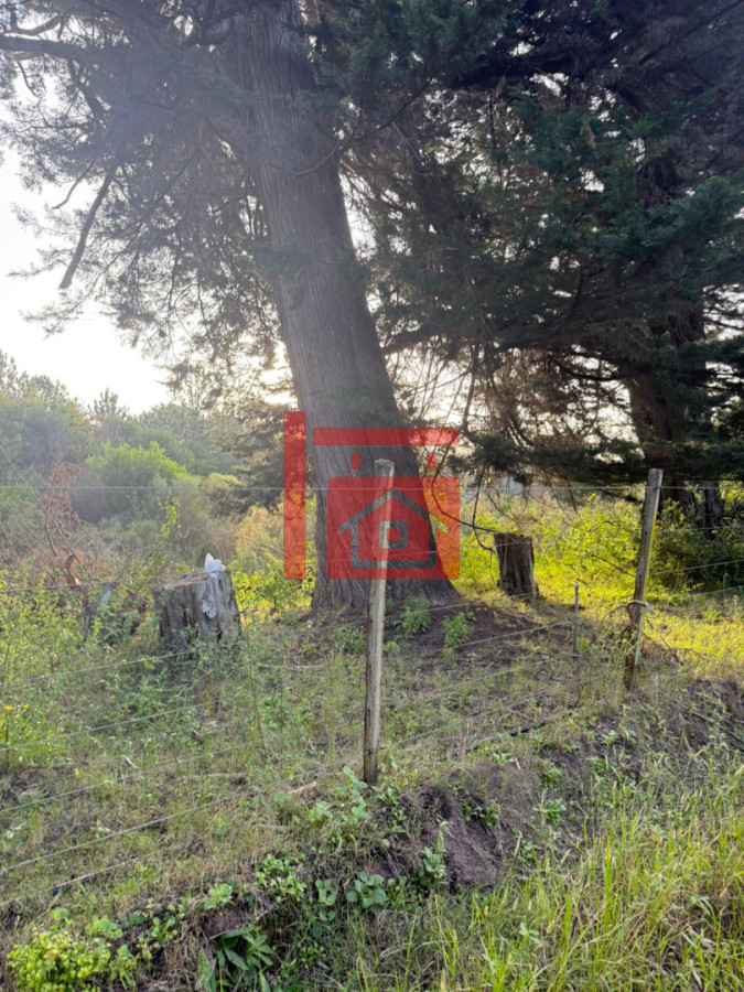 Campo Ref.892 - Hiper oportunidad!! 15 has muy cerca del mar y a solo unos metros de ruta I.B