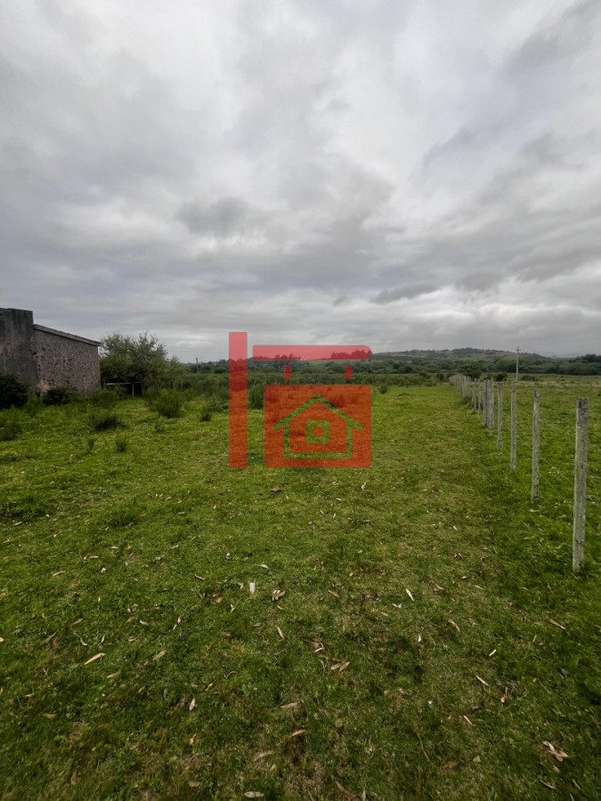 Campo Ref.12 - Campo 110 hectáreas en Aiguá