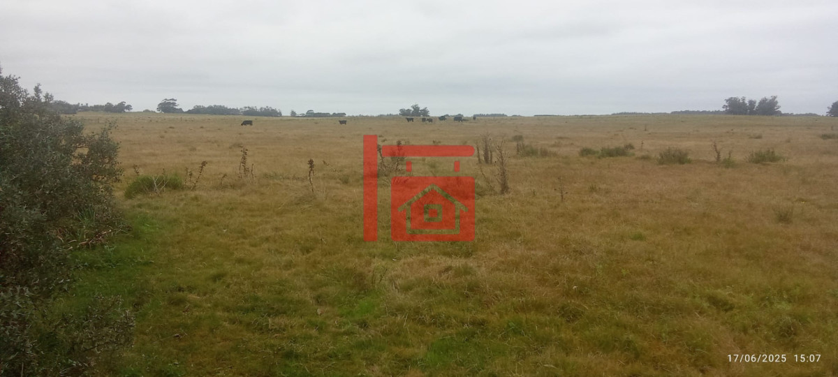 Campo Ref.1230 - Oportunidad de campo en Garzon 