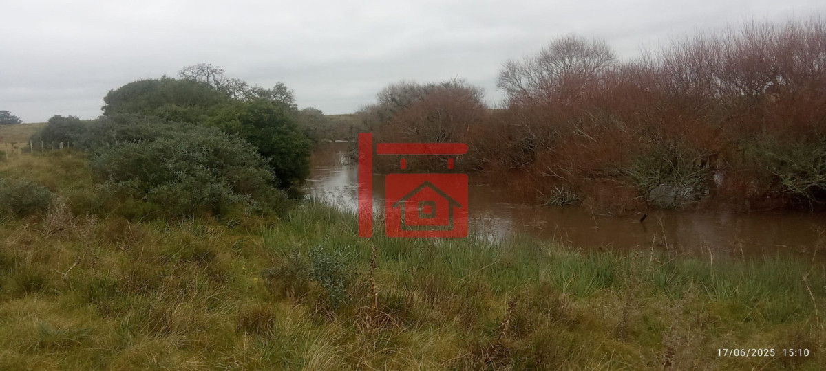 Campo Ref.1230 - Oportunidad de campo en Garzon 
