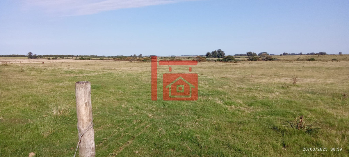 Campo Ref.1230 - Oportunidad de campo en Garzon 