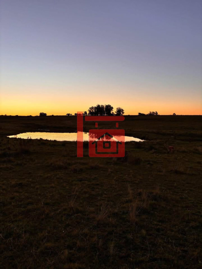 Campo Ref.21 - Chacra en José Ignacio 