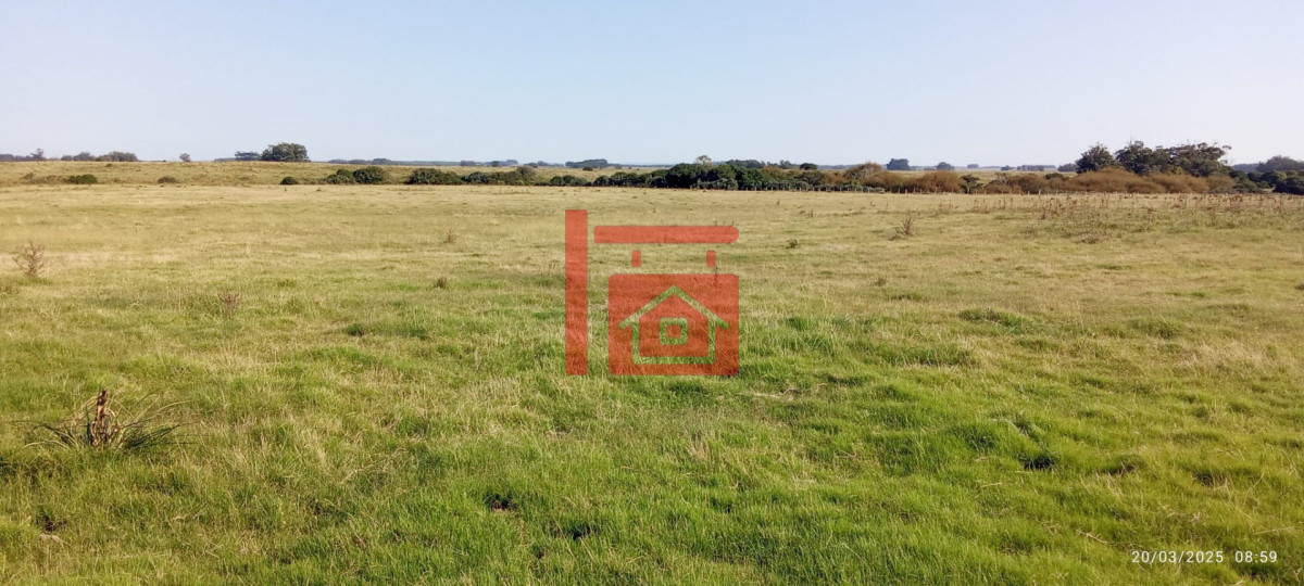 Campo Ref.1230 - Oportunidad de campo en Garzon 