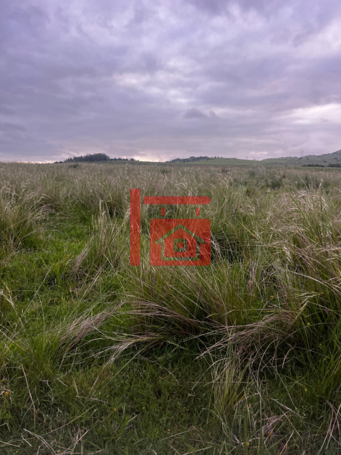 Campo Ref.12 - Campo 110 hectáreas en Aiguá