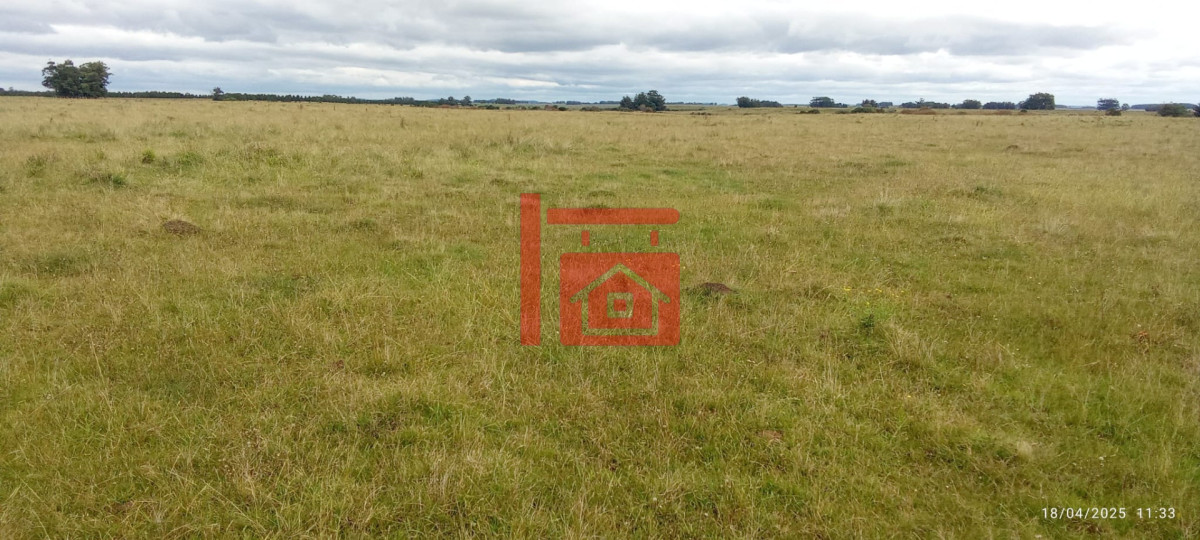 Campo Ref.1230 - Oportunidad de campo en Garzon 