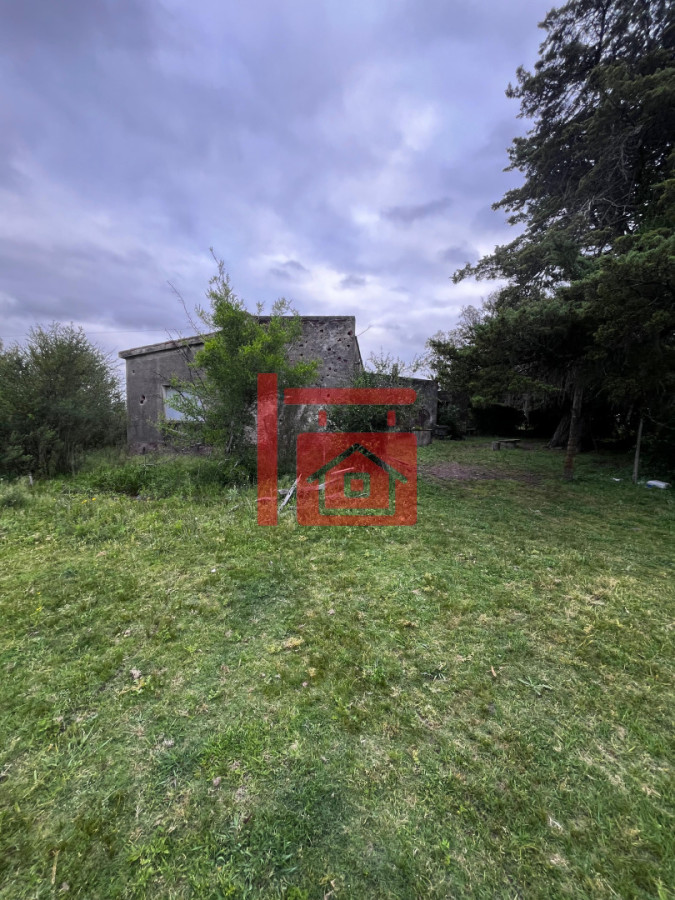 Campo Ref.12 - Campo 110 hectáreas en Aiguá