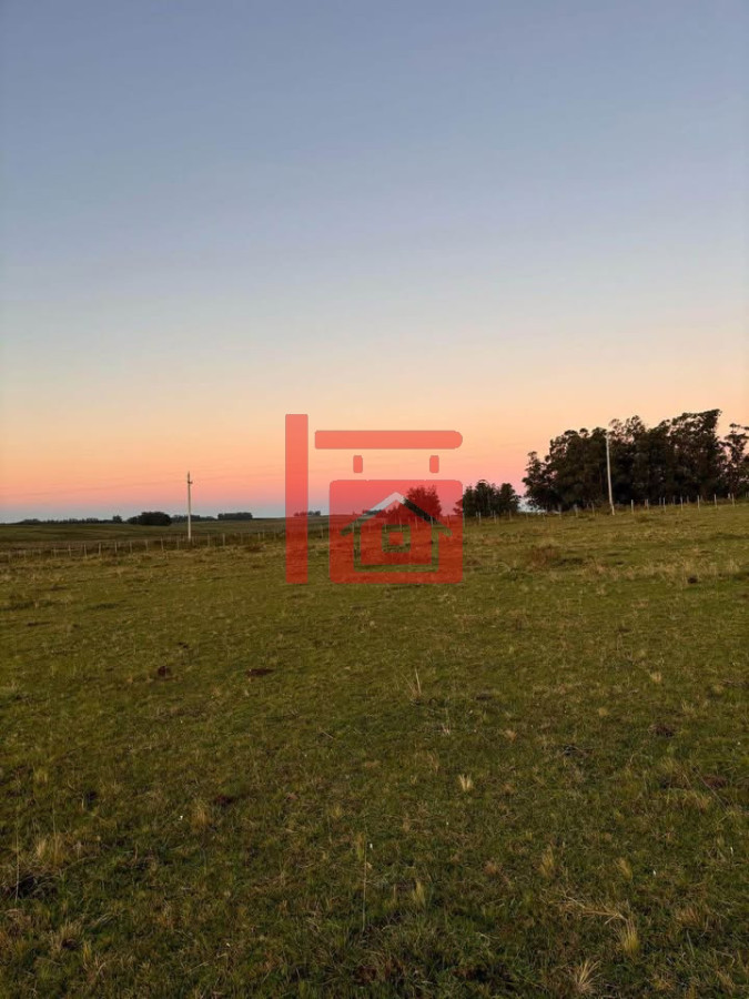 Campo Ref.21 - Chacra en José Ignacio 