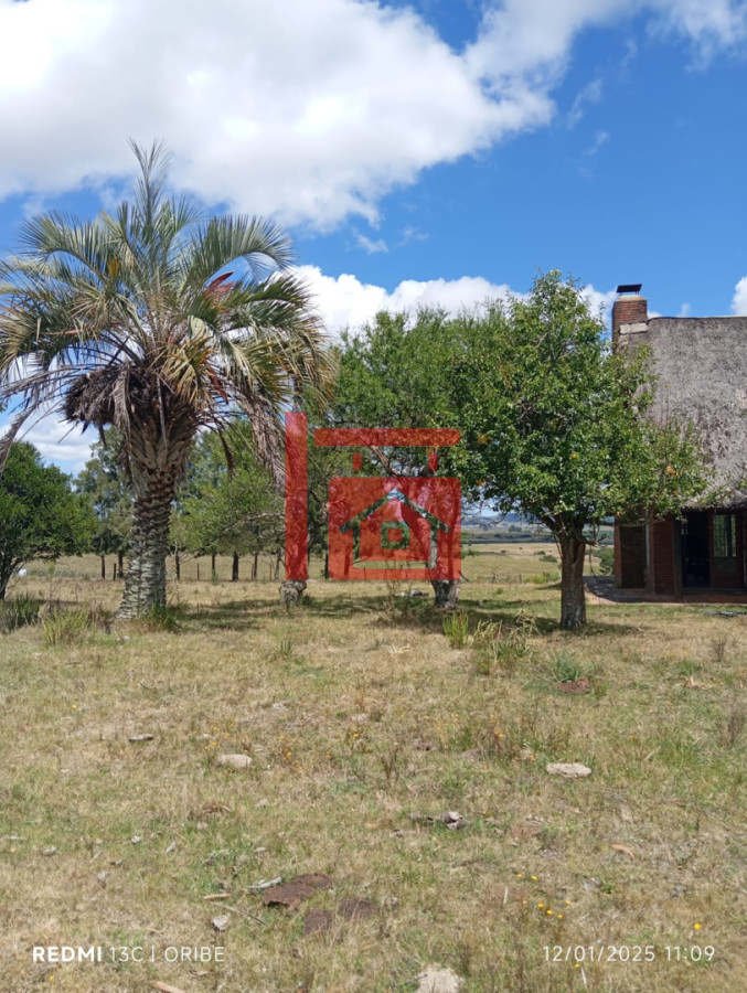 Campo Ref.2 - Chacra de 28 hectáreas Paso Dutra