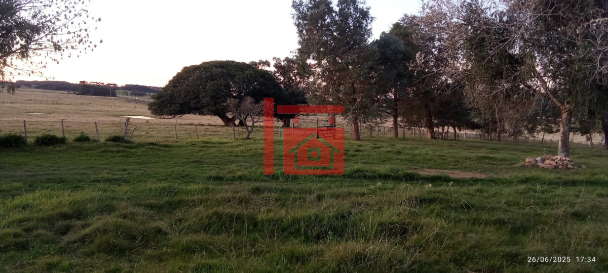 Campo Ref.1230 - Oportunidad de campo en Garzon 
