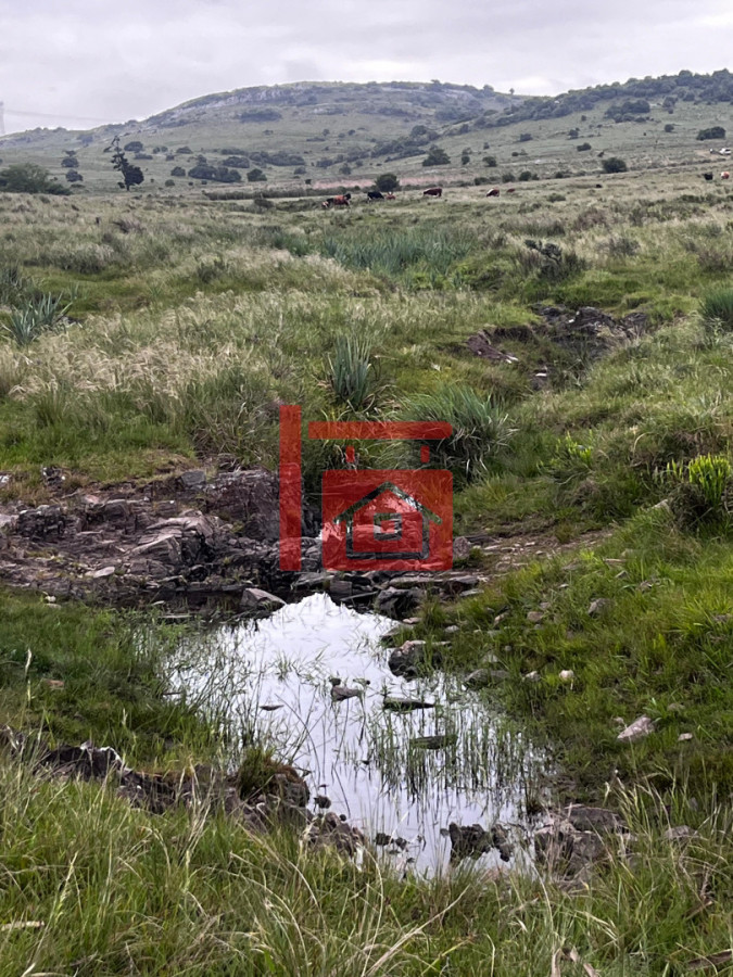 Campo Ref.12 - Campo 110 hectáreas en Aiguá