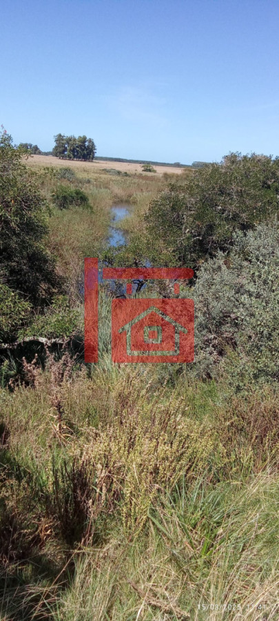 Campo Ref.1230 - Oportunidad de campo en Garzon 