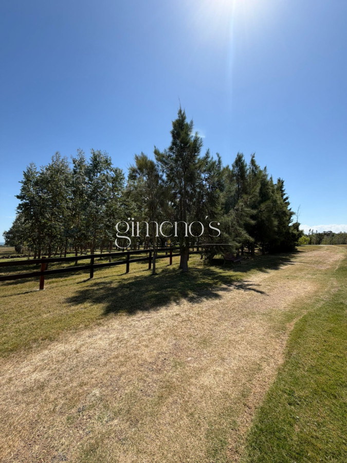 Chacra ID.1070 - Espectacular chacra de 6 has, playa hermosa, piriapolis.