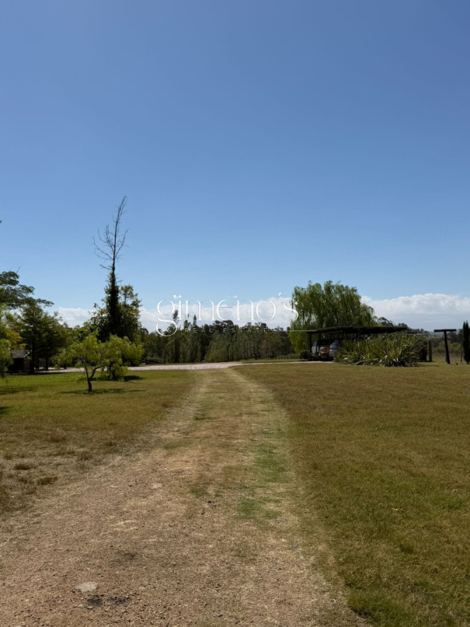 Chacra ID.1070 - Espectacular chacra de 6 has, playa hermosa, piriapolis.