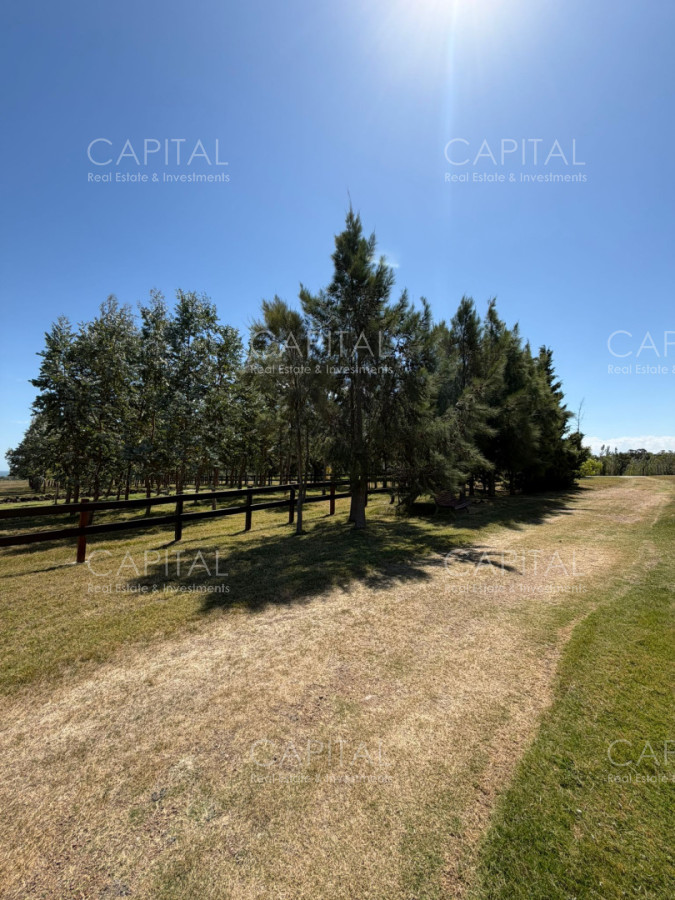 Chacra ID.39829 - Espectacular chacra de 6 has en Piriapolis