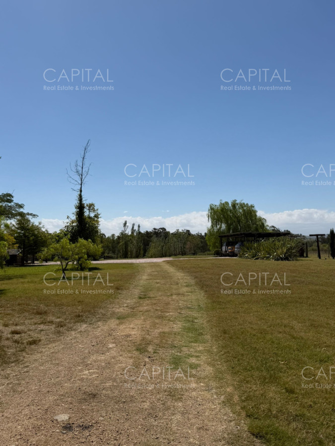 Chacra ID.39829 - Espectacular chacra de 6 has en Piriapolis