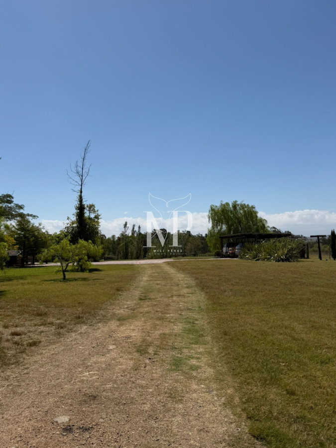 Chacra ID.169 - Espectacular chacra de 6 has, playa hermosa, piriapolis.