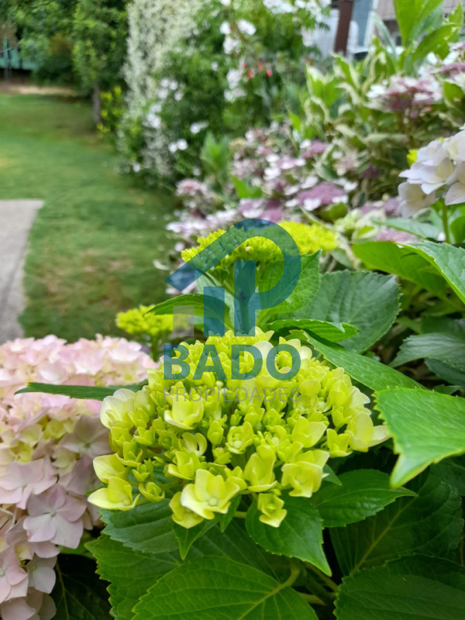 Casa ID.118 - Casa en Maldonado, Otros Barrios