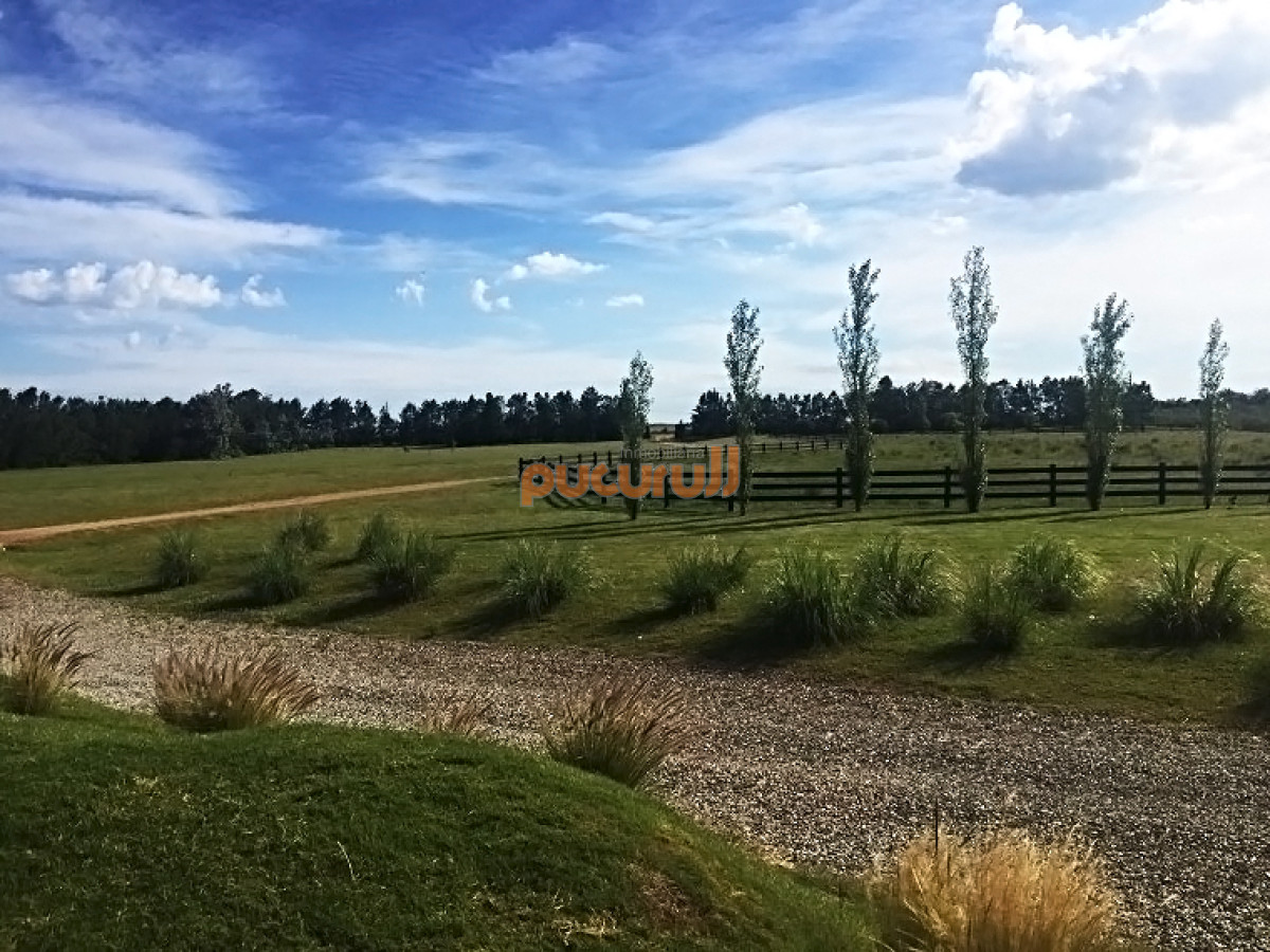 Punta Negra - GoPunta - Portal Inmobiliario de Punta del Este - Maldonado