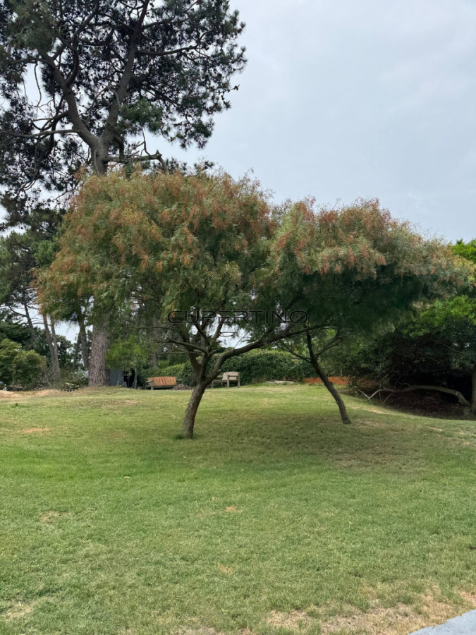Casa en Punta del Este, Cantegril — foto 18