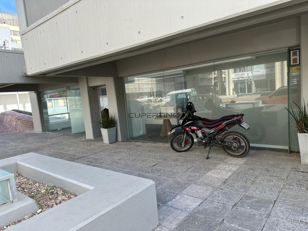 Peninsula sobre Gorlero exclente ubicacion a metros del puerto — foto 19